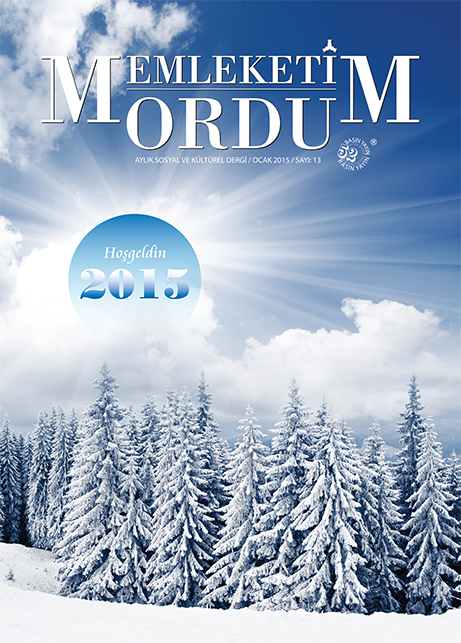 Memleketim Ordu Dergisi Sayı 1