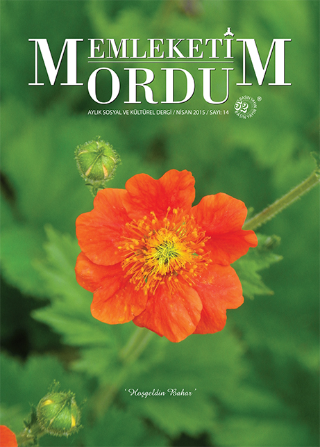 Memleketim Ordu Dergisi Sayı 2