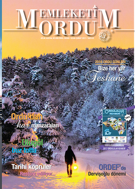 Memleketim Ordu Dergisi Sayı 2