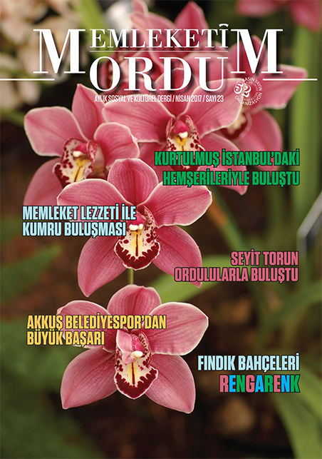 Memleketim Ordu Dergisi Sayı 3