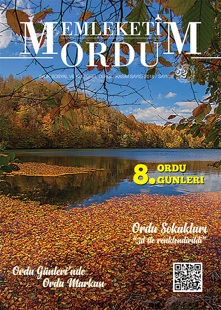 Memleketim Ordu Dergisi Sayı 29