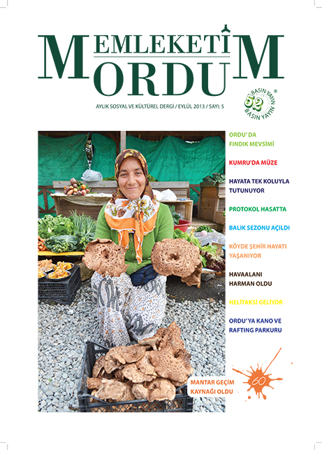 Memleketim Ordu Dergisi Sayı 1